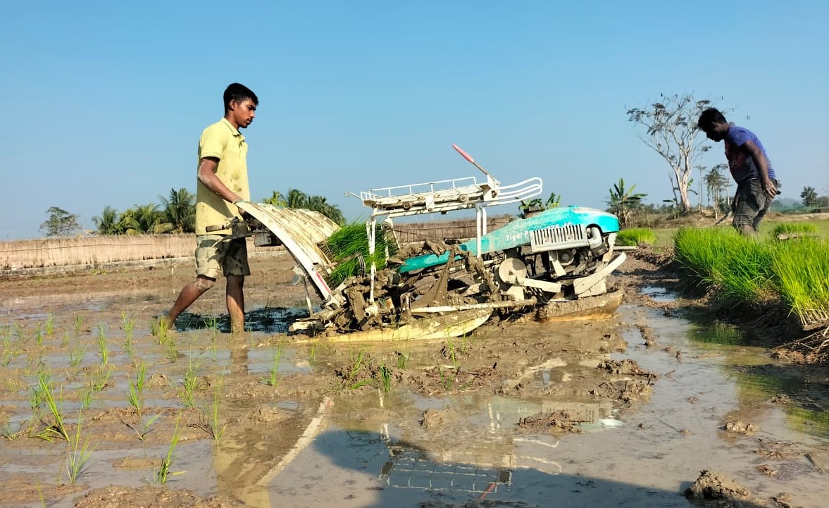 দীঘিনালায় সমলয় পদ্ধতিতে বোরো ধানের চারা রোপণ