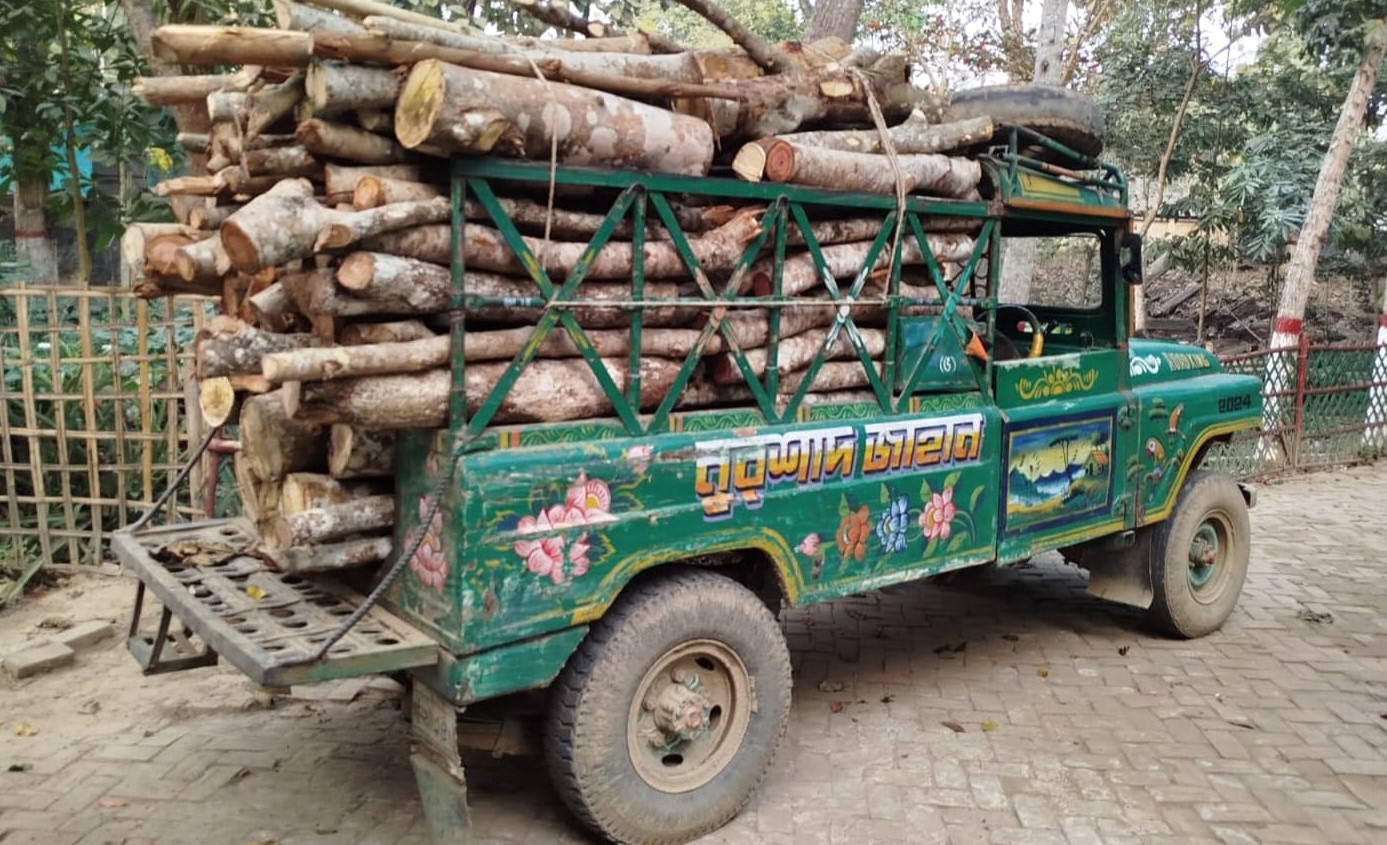 তামাক চুল্লীর অবৈধ জ্বালানি কাঠ জব্দ