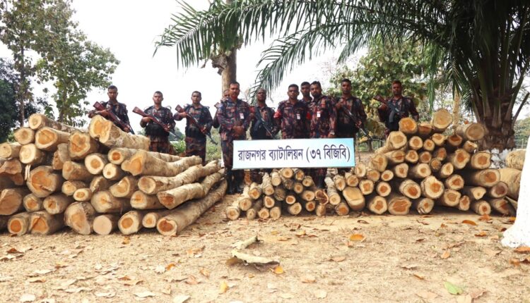 বিজিবির অভিযানে গোল কাঠ জব্দ